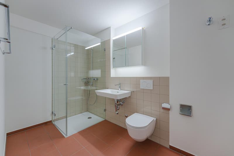 Moderne Gewerbefläche/Büro an attraktiver Lage in Zürich-Leimbach (4)