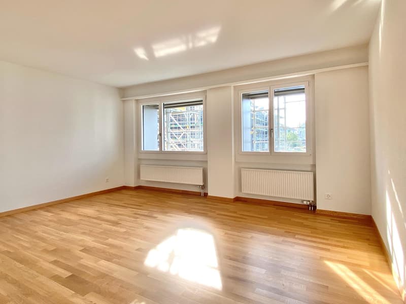 Appartamento moderno 3.5 locali in affitto a Obfelden! (6)