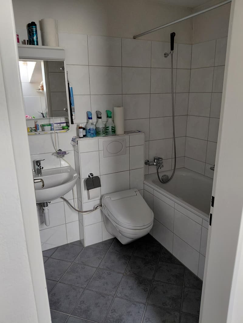 1,0 chambre à coucher dans Dübendorf (4)