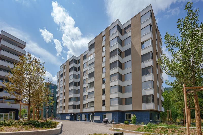 Moderne + altersgerechte 3.5 Zimmerwohnung in Zürich-Manegg (1)