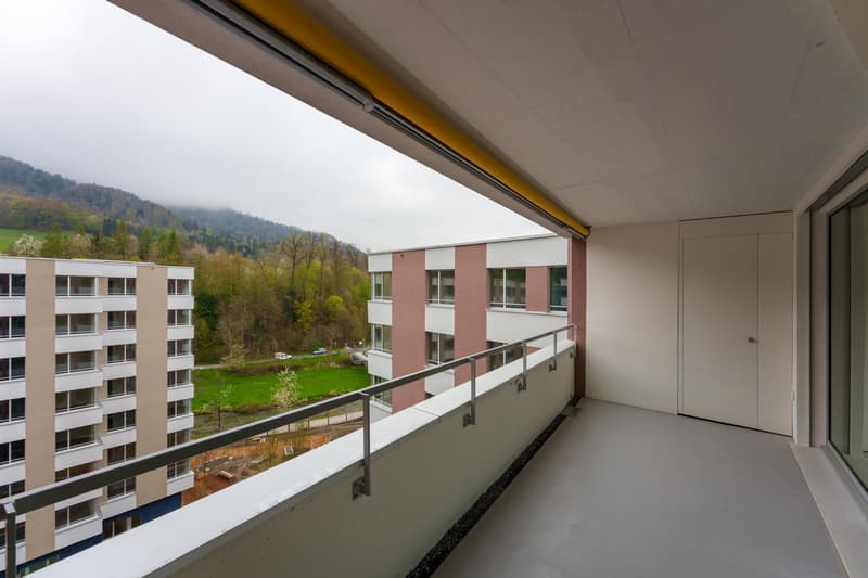 Moderne + altersgerechte 3.5 Zimmerwohnung in Zürich-Manegg (3)