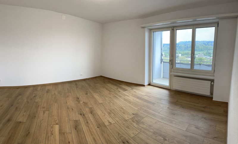 3.5 room apartment in Zurich (3)