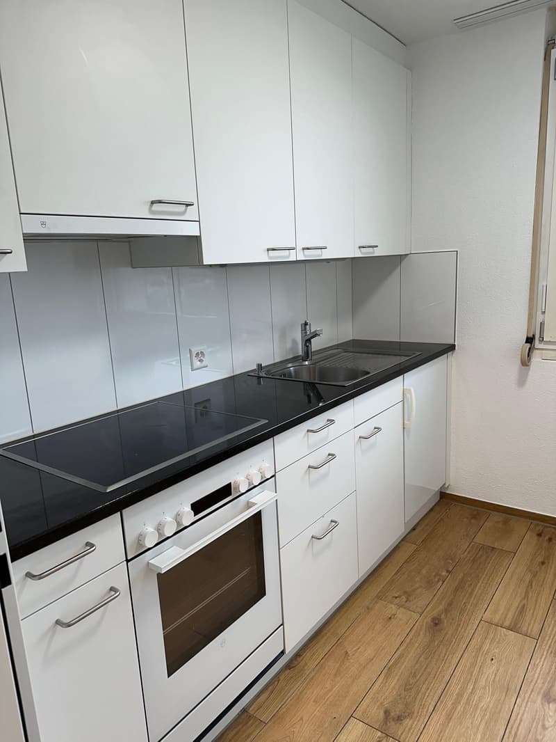 3.5 room apartment in Zurich (2)