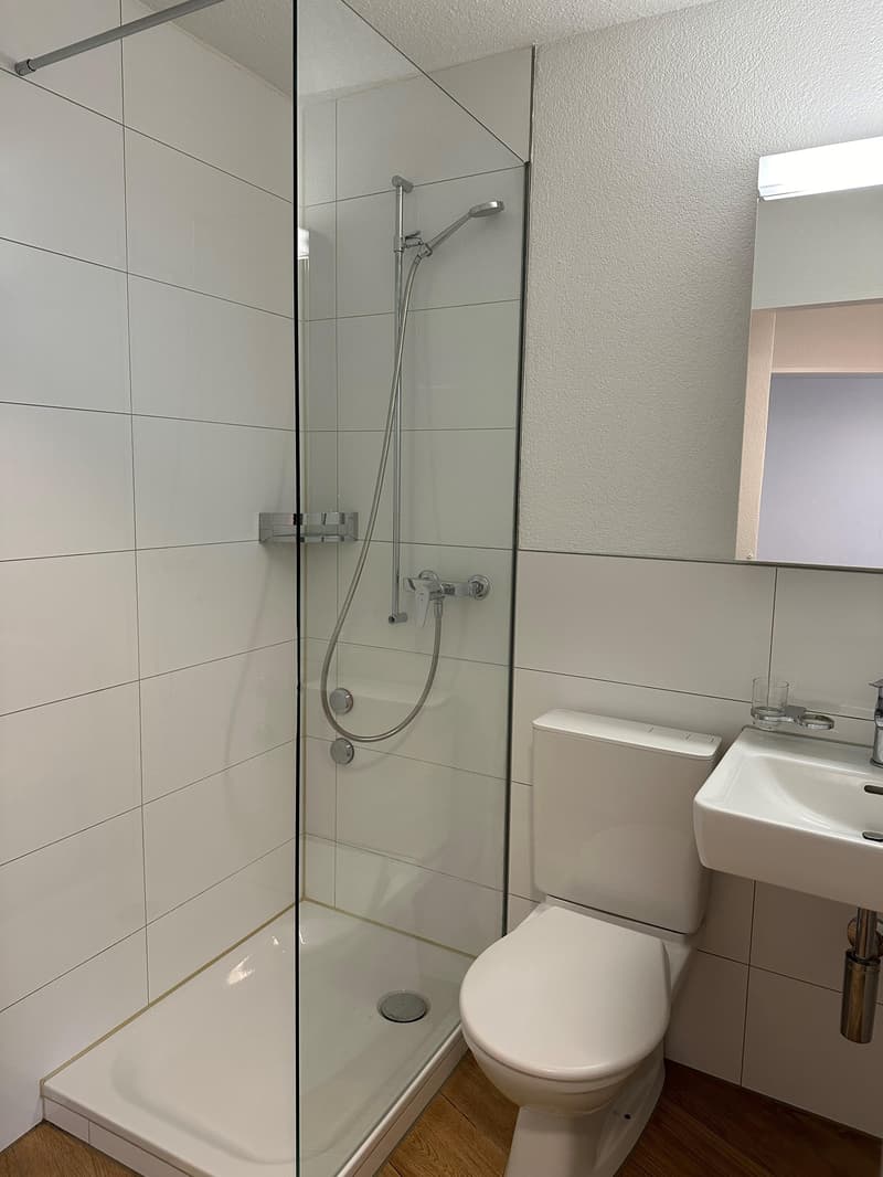 3.5 room apartment in Zurich (5)