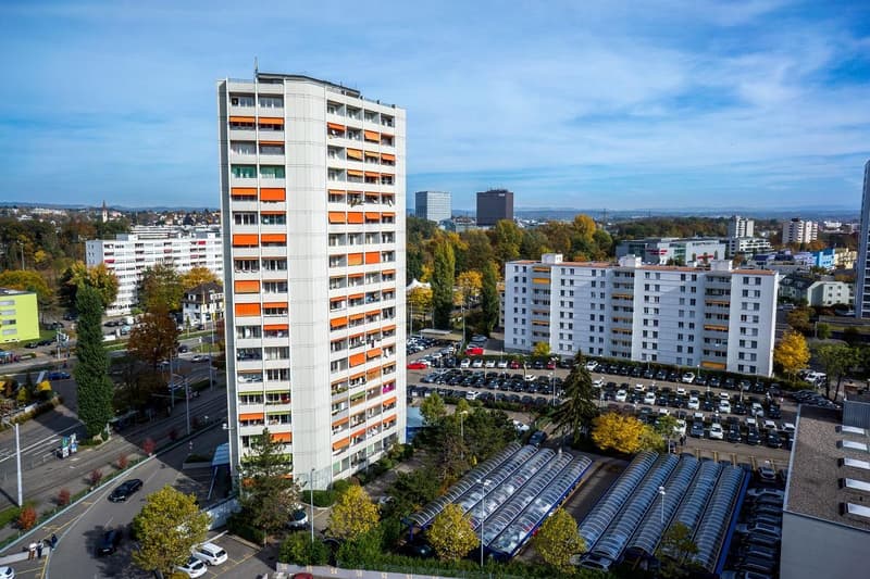 3.5 room apartment in Zurich (1)