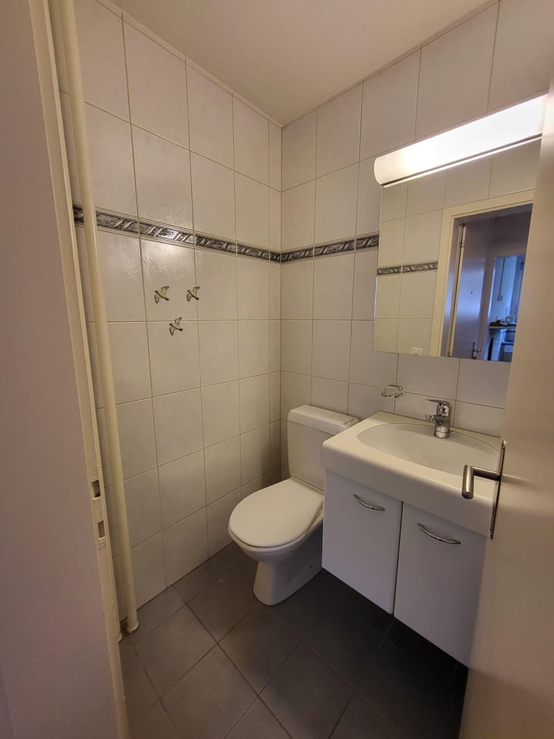 perfekte grosszügige Familienwohnung (5)