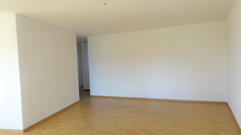 4.5 Zimmerwohnung in Winterthur (4)