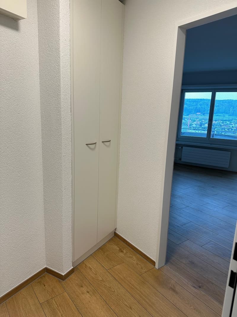 1.0 Zimmerwohnung in Zürich (4)