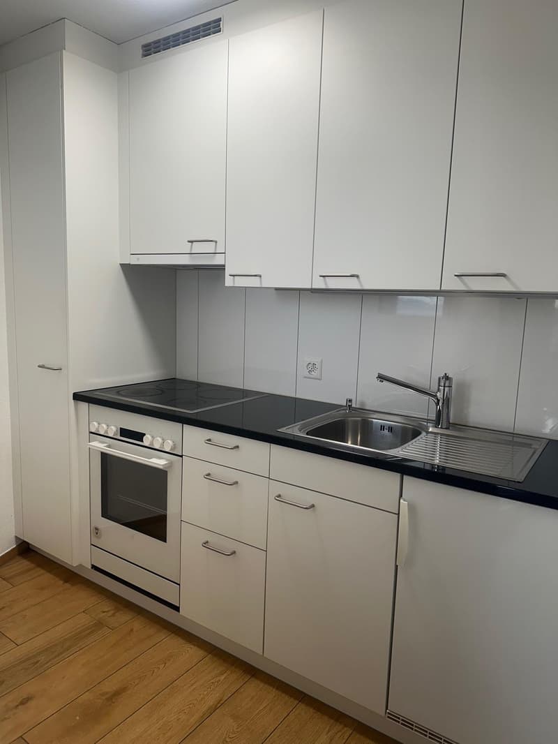 1.0 Zimmerwohnung in Zürich (2)