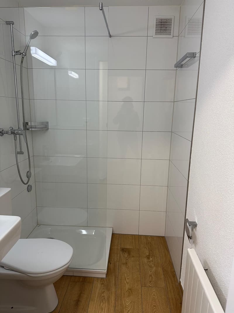 1.0 Zimmerwohnung in Zürich (5)