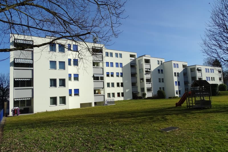 3.5 Zimmerwohnung in Frauenfeld (1)