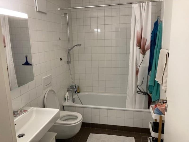 3.5 Zimmerwohnung in Uster (4)