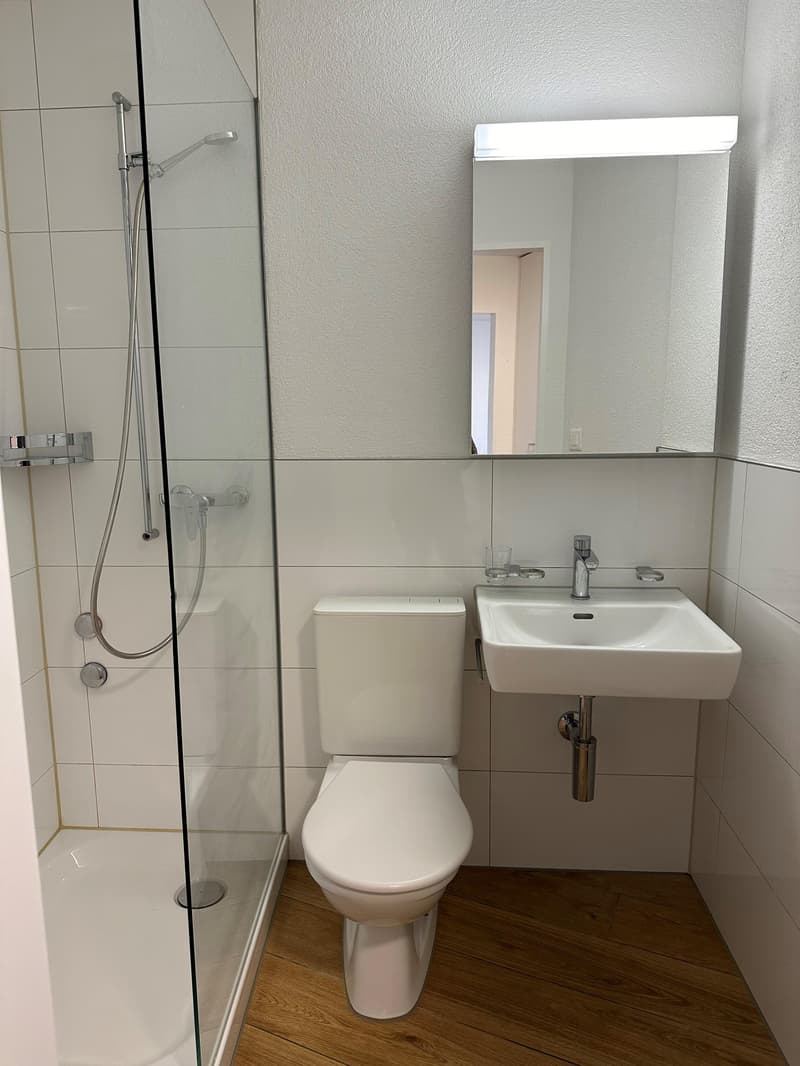 3.0 Zimmerwohnung mit Weitsicht (7)