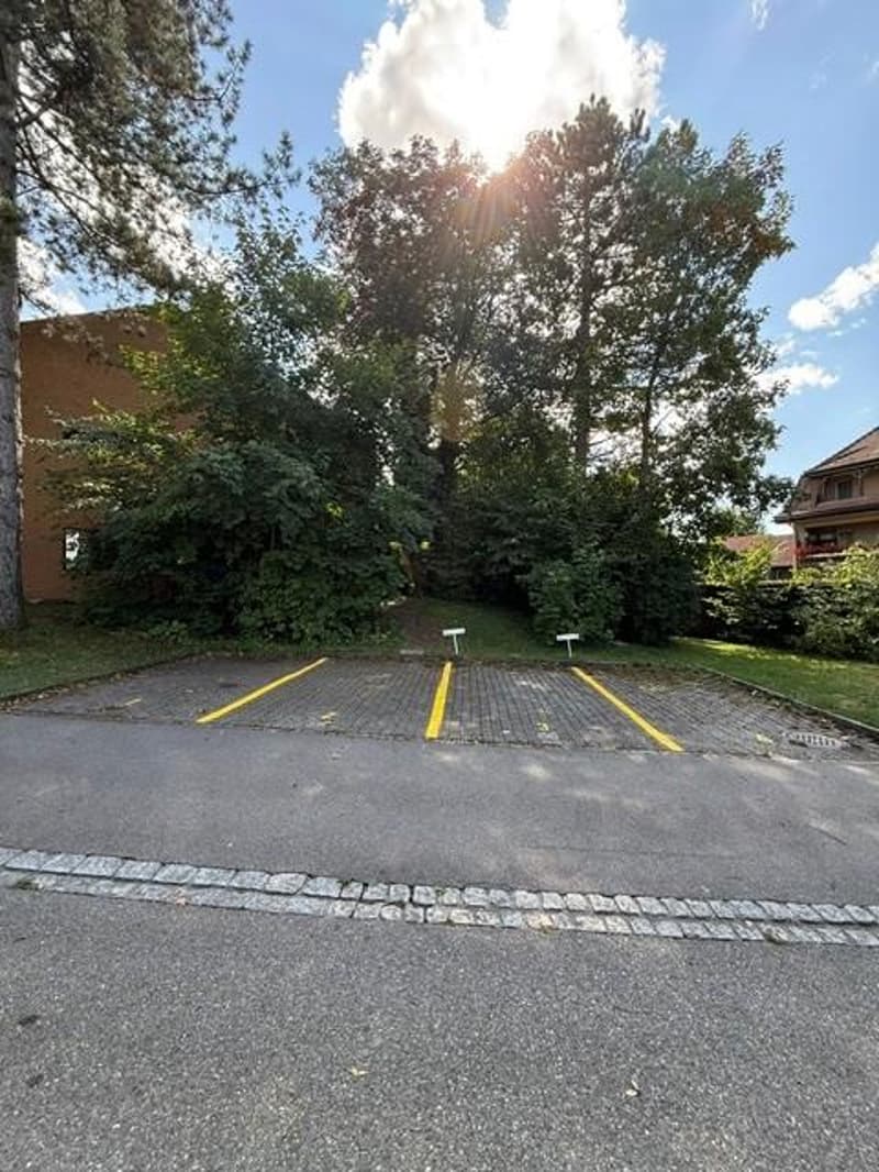 Aussenparkplatz in Dietlikon (1)