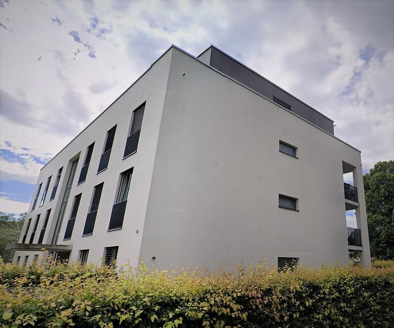 4.5 Zimmerwohnung in Nänikon (1)