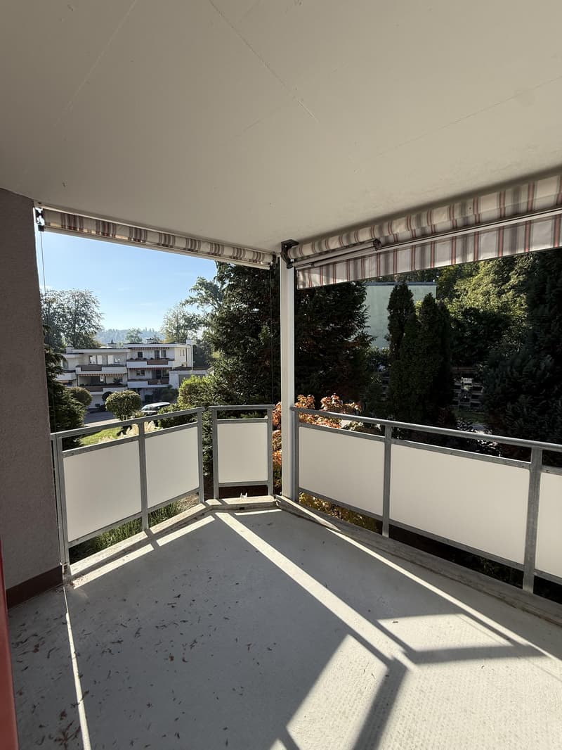 Charmante 4.5 Zimmerwohnung in Adliswil zu vermieten! (10)