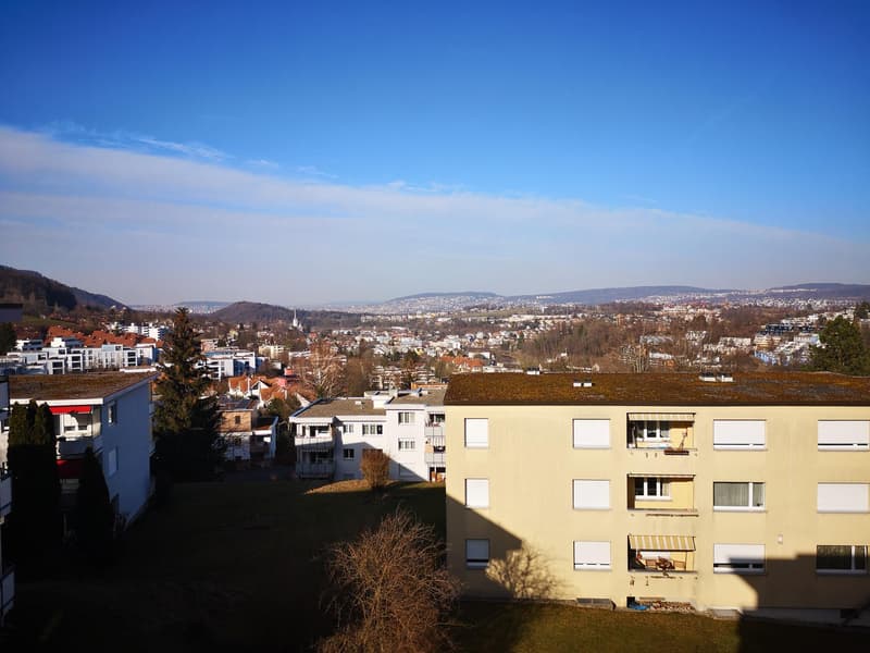 Charmante 4.5 Zimmerwohnung in Adliswil zu vermieten! (12)
