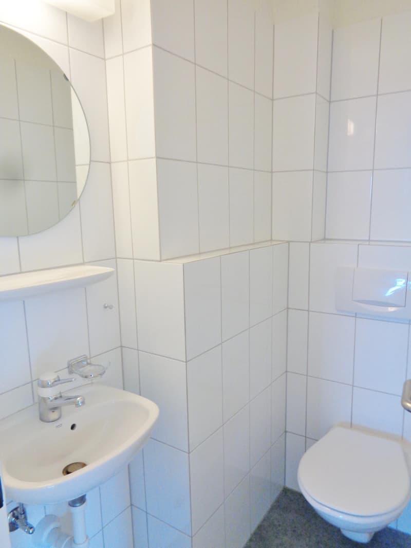 Charmante 4.5 Zimmerwohnung in Adliswil zu vermieten! (9)