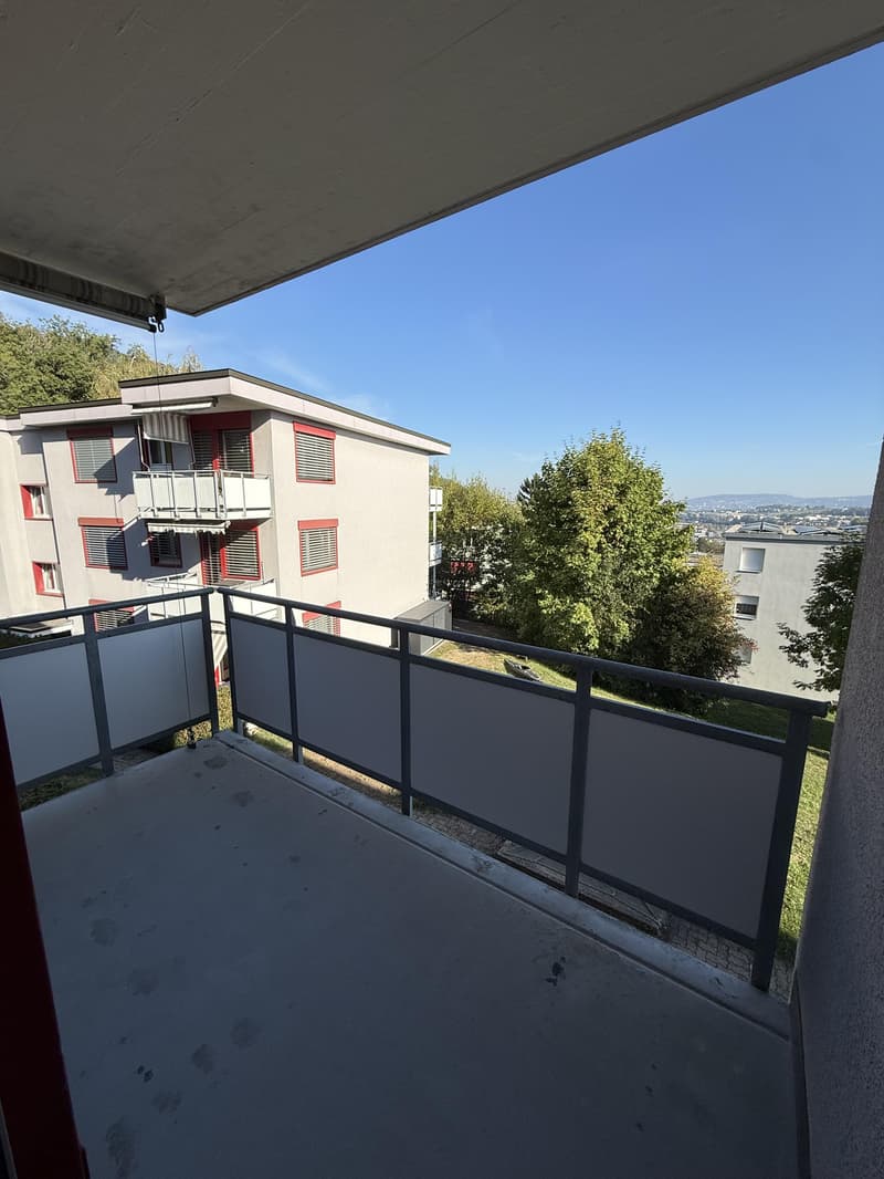 Charmante 4.5 Zimmerwohnung in Adliswil zu vermieten! (11)