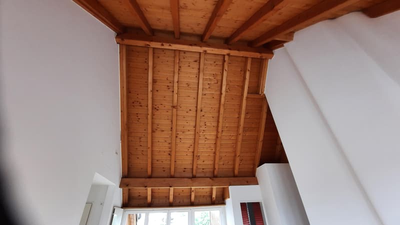 Schöne und "heimelige" Wohnung (5)