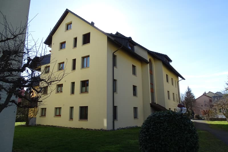 gemütliche 3.5 Zimmer Dachwohnung (1)