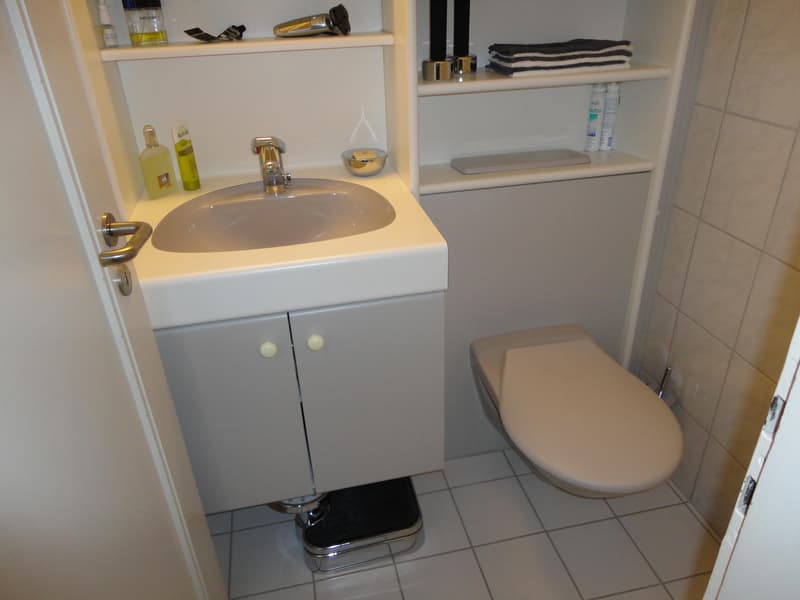 3.0 Zimmerwohnung in Zürich (8)