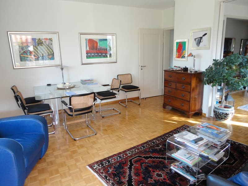 3.0 Zimmerwohnung in Zürich (6)