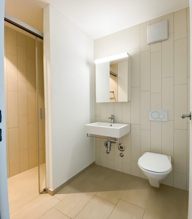 3.5 Zimmerwohnung in Kloten (10)