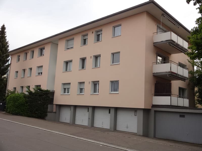 Charmante Wohnung in Winterthur-Wülflingen  befristet bis 30. September  2025 (1)