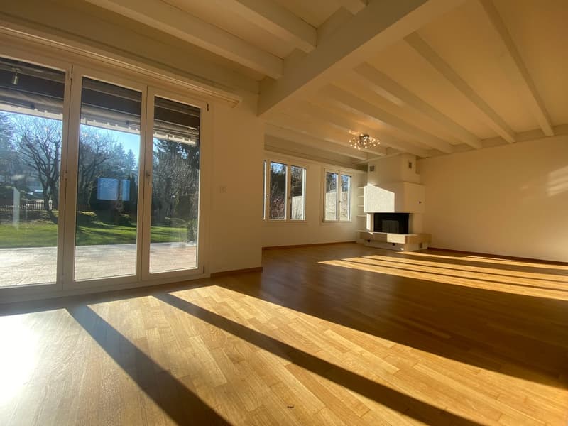 wooden floor, sliding doors, fireplace, glass windows, high ceiling