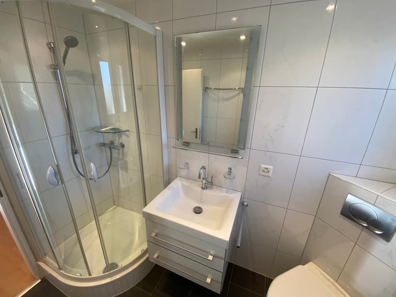 Tiled floor, glass shower, white sink with a mirror, toilet, showerhead and towel rack.