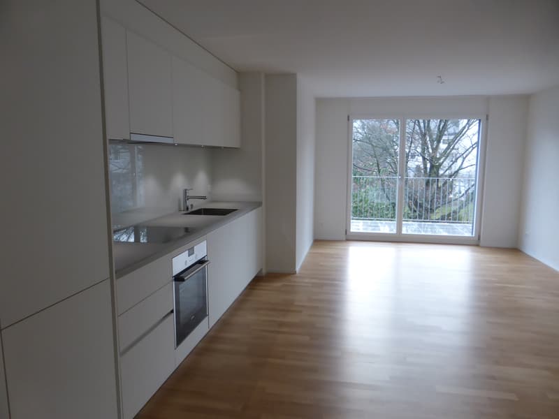 Küche + Wohnzimmer, 2015-12-16 (3)