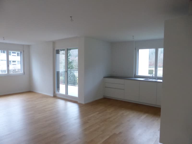 Küche-Wohnzimmer, 2015-12-16 (1)