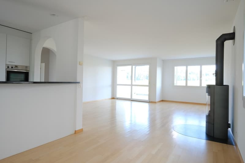 Sunny 3.5-room apartment with a magnificent view of the Forch, Küsnacht (6)