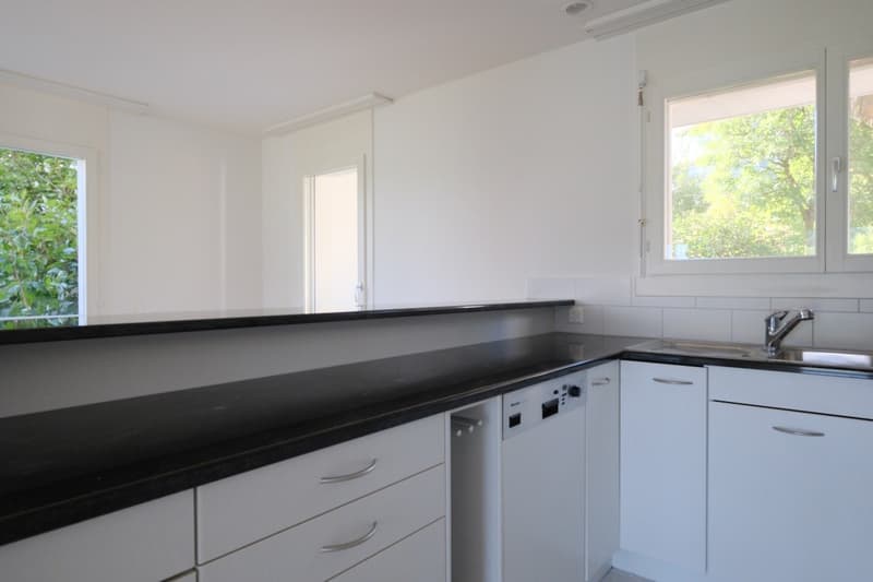 Sunny 3.5-room apartment with a magnificent view of the Forch, Küsnacht (8)