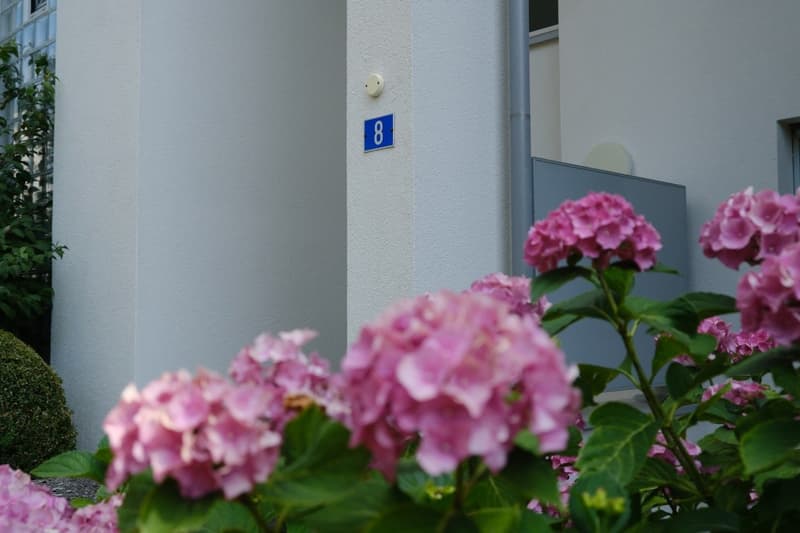 Sunny 3.5-room apartment with a magnificent view of the Forch, Küsnacht (2)