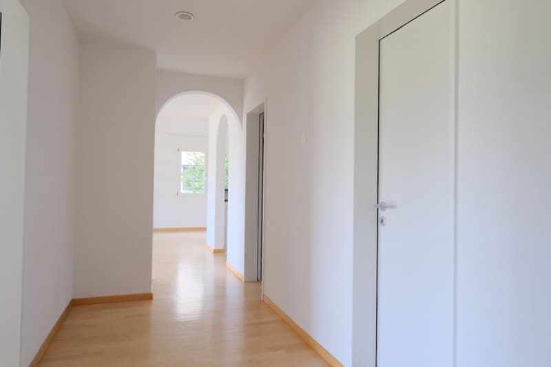 Sunny 3.5-room apartment with a magnificent view of the Forch, Küsnacht (4)