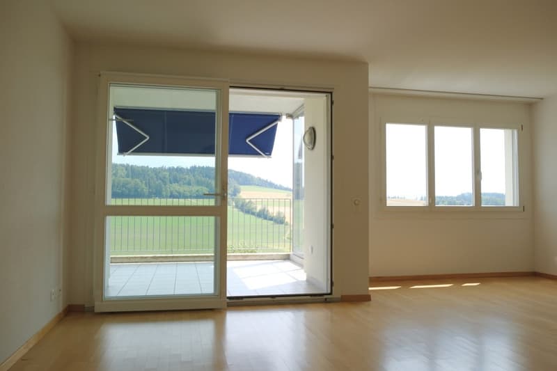 Sunny 3.5-room apartment with a magnificent view of the Forch, Küsnacht (10)