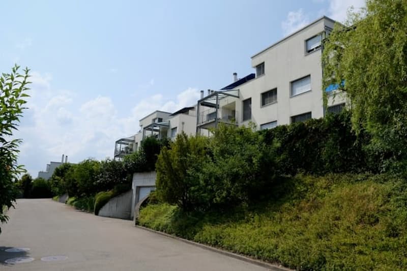 Sunny 3.5-room apartment with a magnificent view of the Forch, Küsnacht (3)