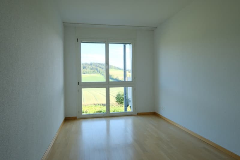 Sunny 3.5-room apartment with a magnificent view of the Forch, Küsnacht (14)