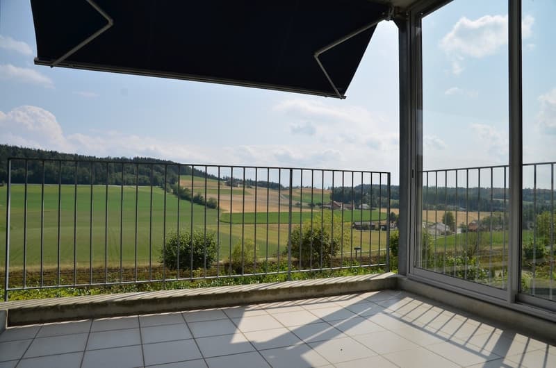 Sunny 3.5-room apartment with a magnificent view of the Forch, Küsnacht (1)