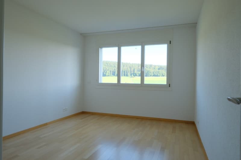 Sunny 3.5-room apartment with a magnificent view of the Forch, Küsnacht (12)