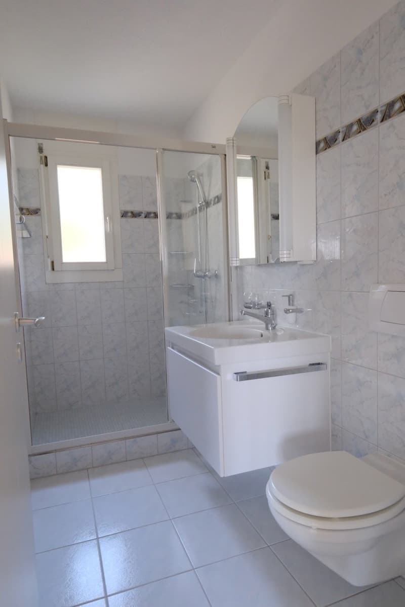 Sunny 3.5-room apartment with a magnificent view of the Forch, Küsnacht (17)