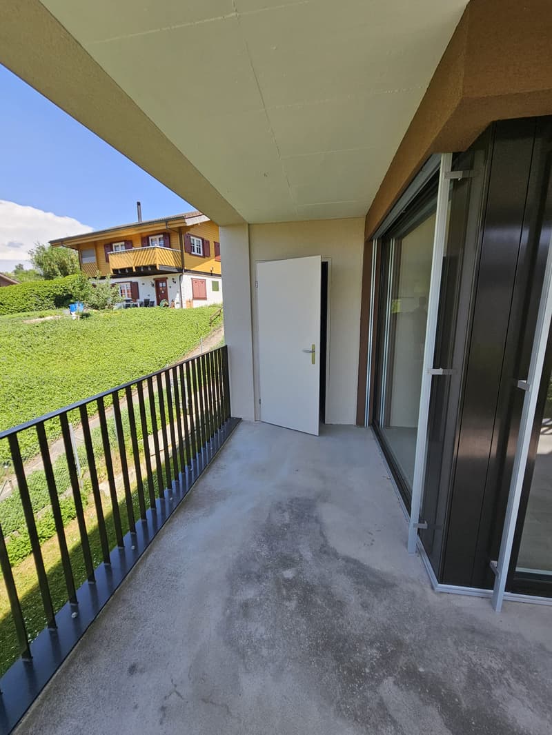 Terrasse/Reduit