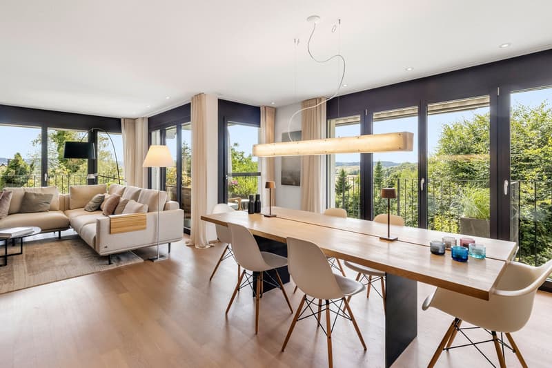 Appartement moderne 3.5 pièces avec grand balcon et vue sur le verde (3)