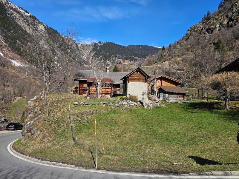 Charmant appartement 2 pièces dans un cadre montagnard idyllique (3)