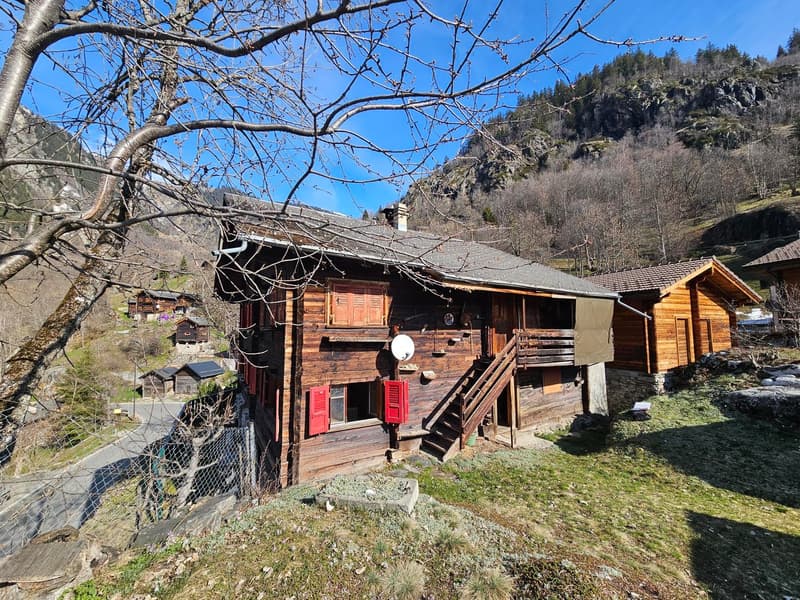 Charmant appartement 2 pièces dans un cadre montagnard idyllique (1)