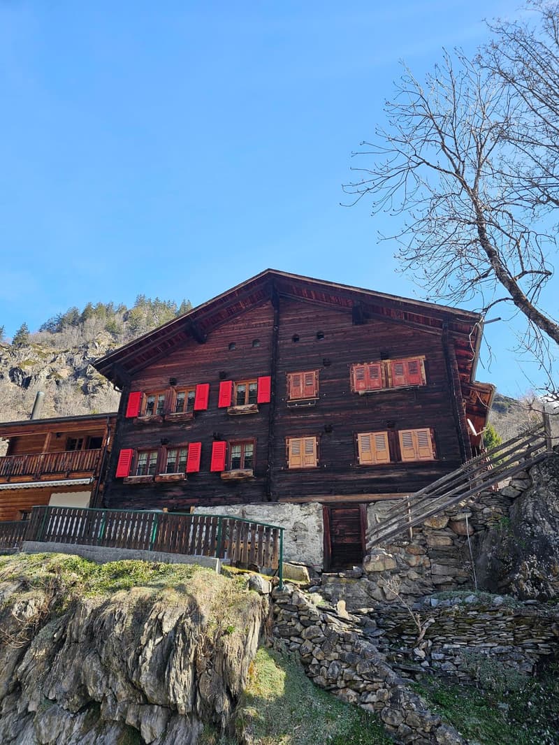 Charmant appartement 2 pièces dans un cadre montagnard idyllique (2)