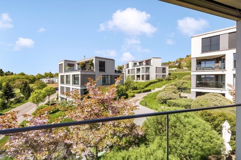 Sonnige 3.5-Zimmer-Wohnung mit unverbaubarer Weitsicht und überdachter Loggia in Uitikon (1)