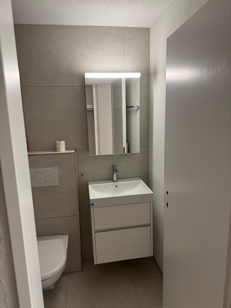 Gemütliche 1-Zimmer-Wohnung mit Sitzplatz inkl. Parkplatz (6)